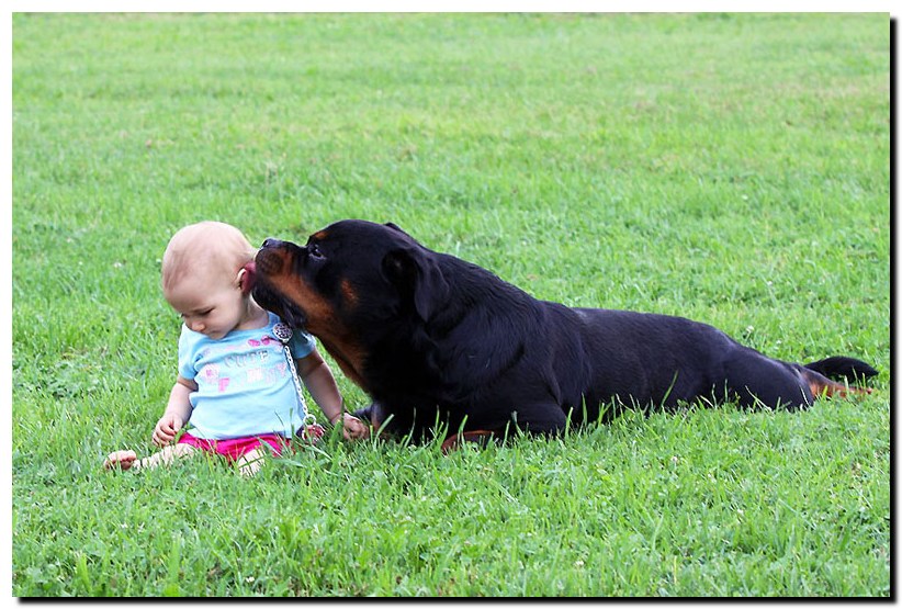 EmaAstor.jpg EmaAstor.jpg